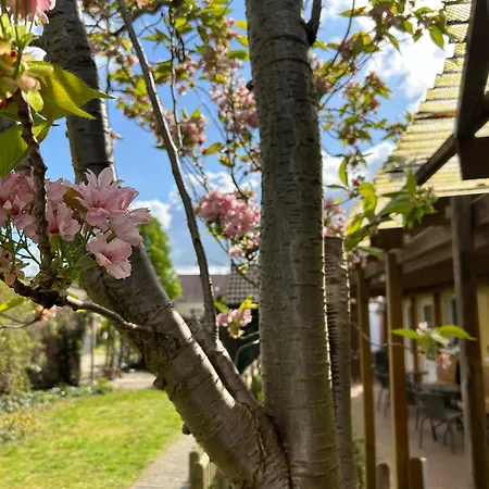 Vintage-wohnung Mit Wintergarten Tauche