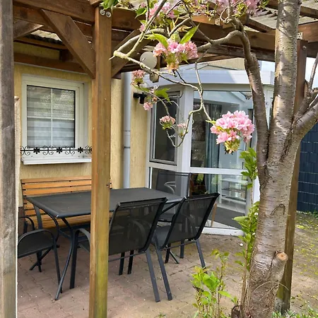 Vintage-wohnung Mit Wintergarten Tauche