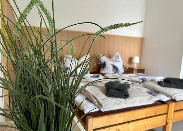 Vintage-wohnung Mit Wintergarten Tauche