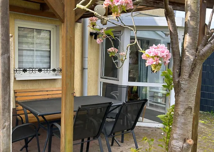 Vintage-wohnung Mit Wintergarten Tauche